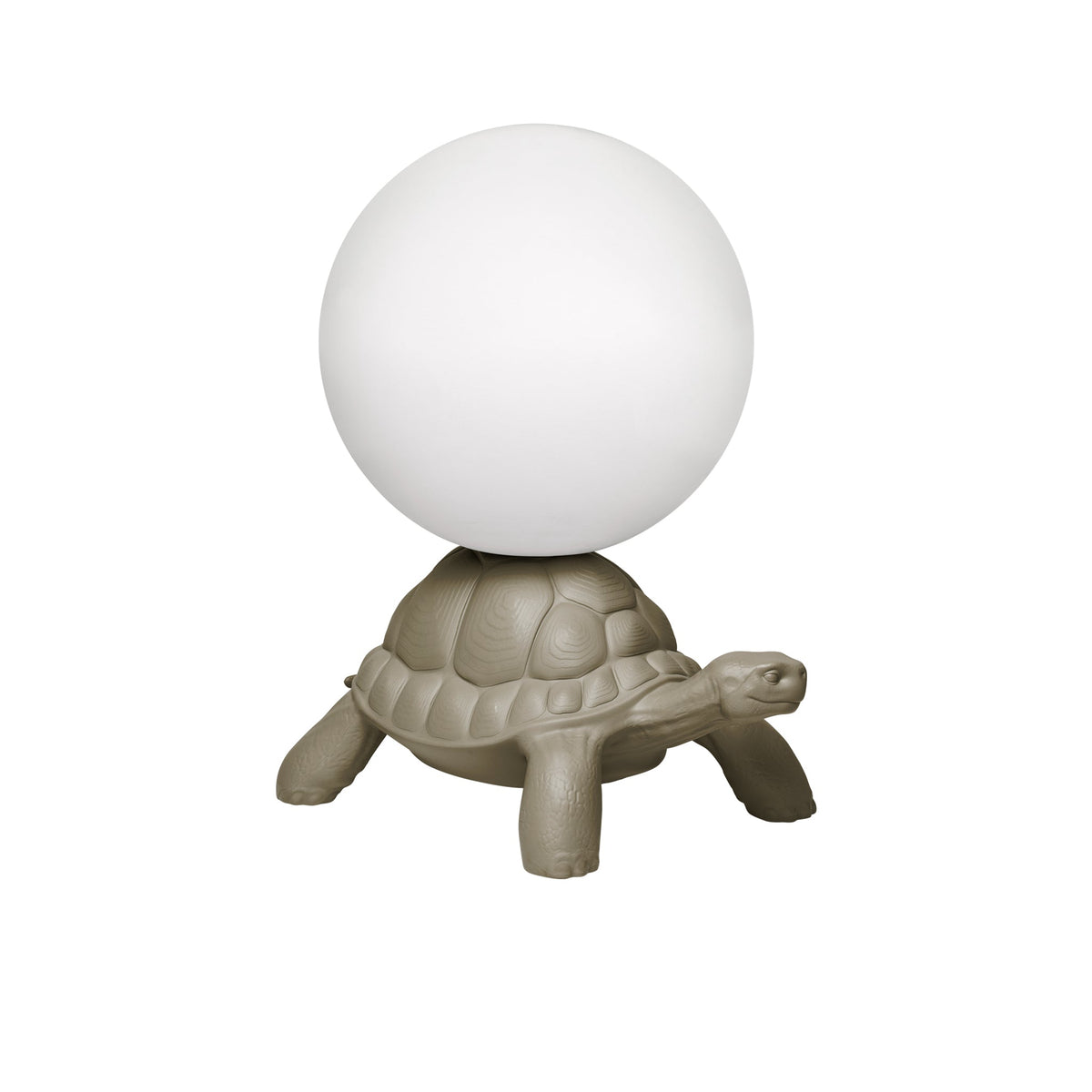 Turtle Carry Gri Aydınlatma