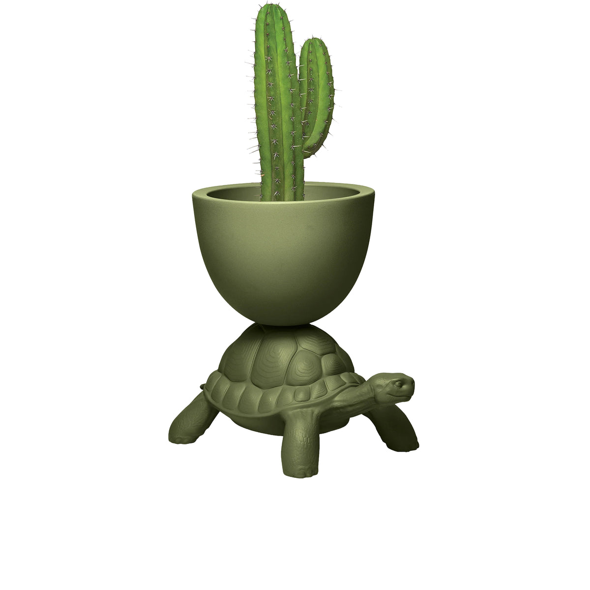 Turtle Carry Yeşil Saksı/Şampanya Soğutucu