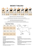 Siena Couture-Fedelta | Gezdirme İpi-Köpek-5-milagron.live