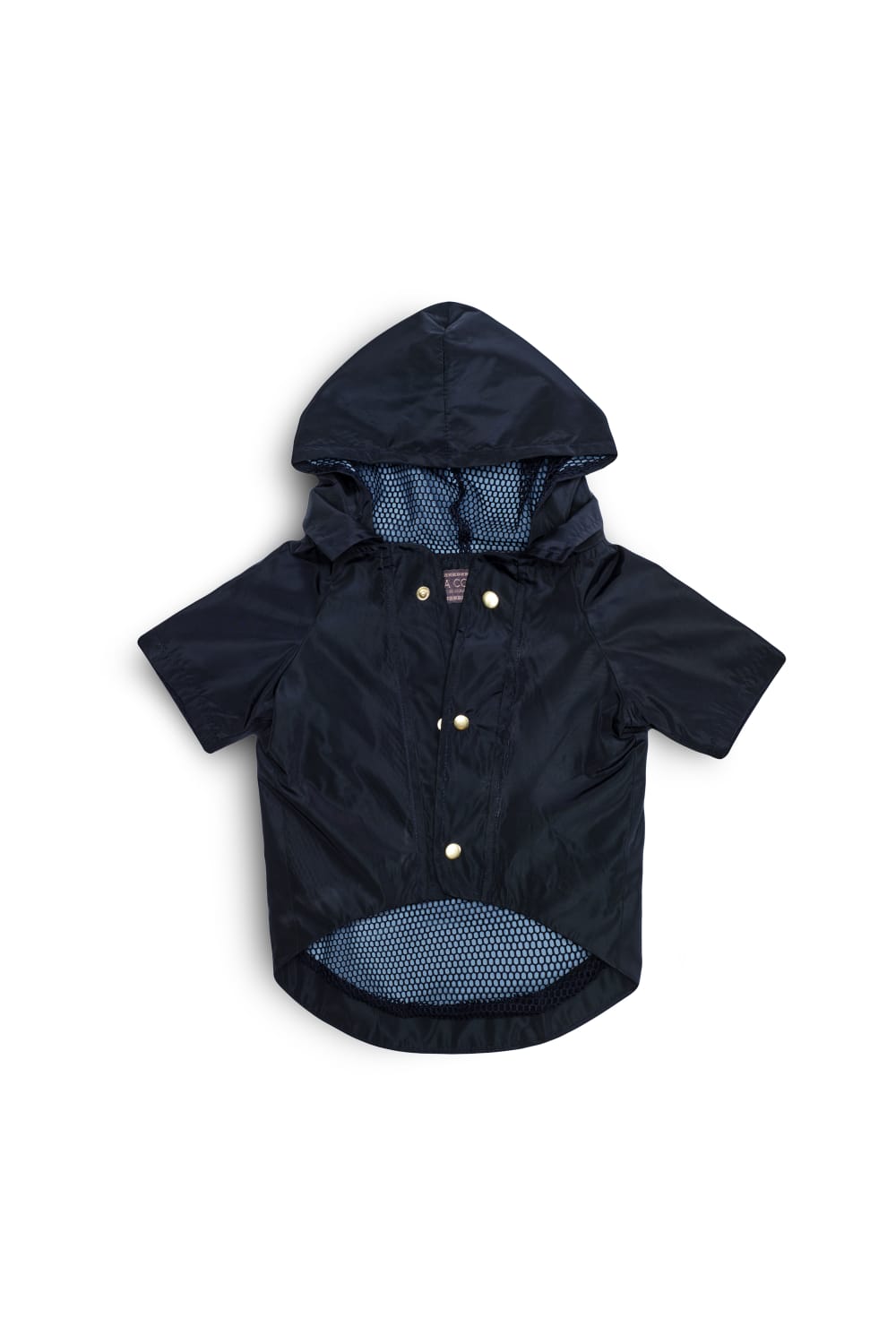 Siena Couture-Fontebranda Blue | Yağmurluk-Köpek-3-milagron.live