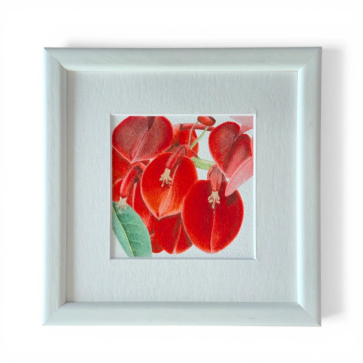 Mercan Ağacı Suluboya Fine Art Baskı