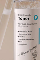 Village 11 Factory-P Skin Formula Toner 250ml - Siyah Nokta & Akne Karşıtı, Gözenek Sıkılaştırıcı Arındırıcı Pha & Çay Ağacı Tonik-Düzenleme-2-milagron.live
