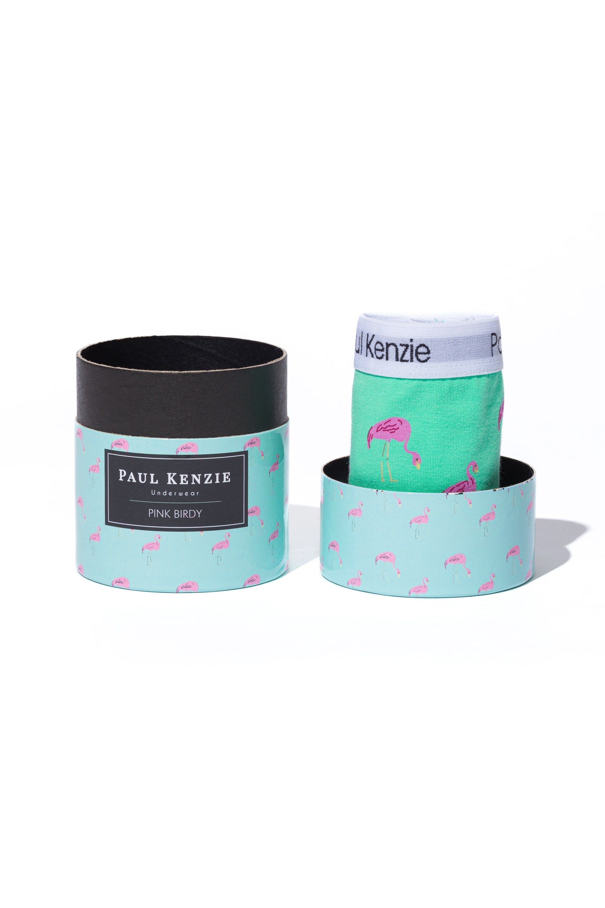 Couple Collection Desenli Kadın Slip Külot, Pink Birdy - 1