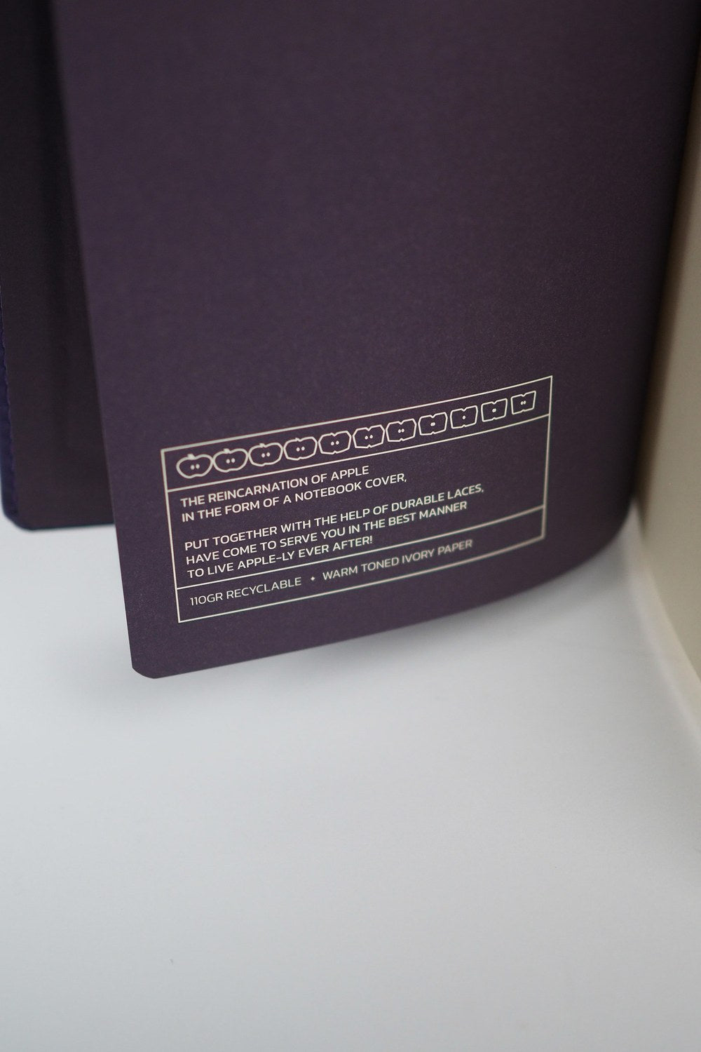 Elma Derisi Kapaklı Defter - 4