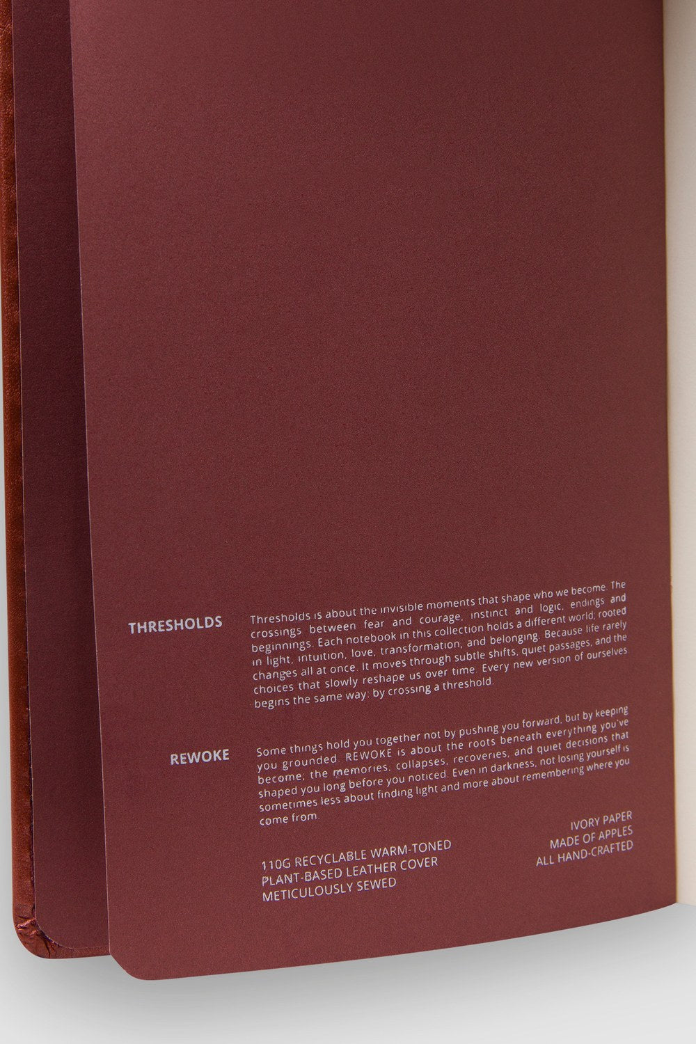 Rewoke Defter – A5 Elma Derisi Ciltli - 5
