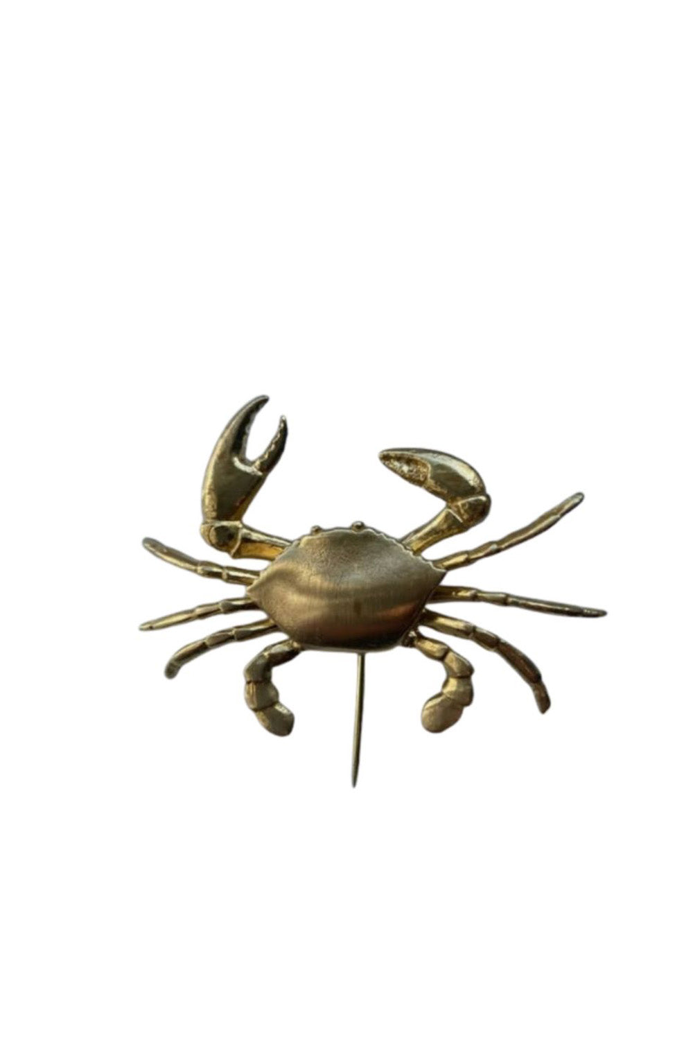 Morning Blue-Crab Broş-Broş-1-milagron.live