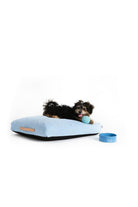 DU2-FlatBed Yatak - Mavi-Köpek-5-milagron.live
