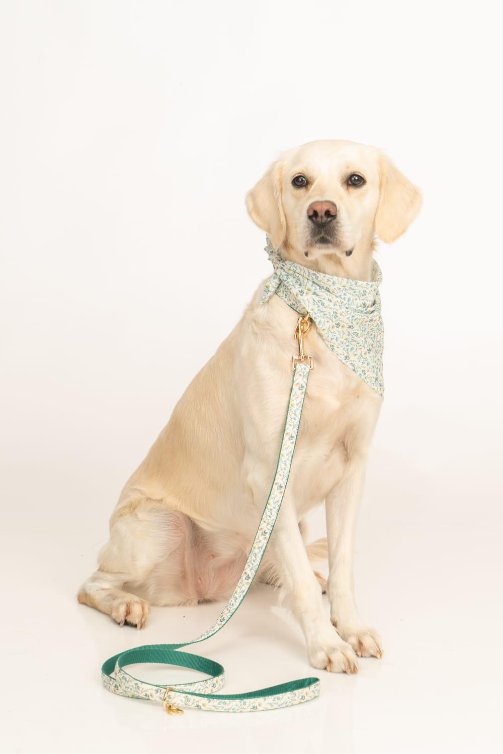 Gliparis-Lugo Köpek Bandana-Köpek-4-milagron.live