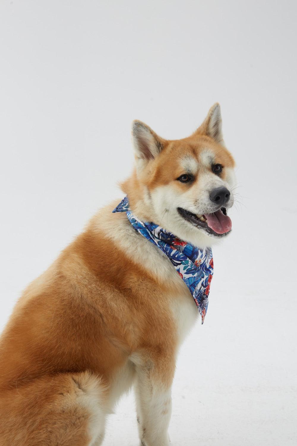 Hypet Fashion-Hawaii Bandana-Köpek-1-milagron.live