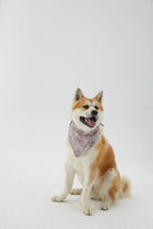 Hypet Fashion-Paisley Bandana-Köpek-5-milagron.live