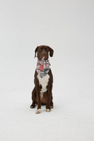 Hypet Fashion-Patchwork Bandana-Köpek-4-milagron.live