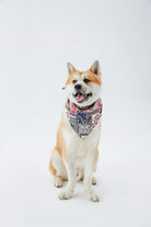 Hypet Fashion-Patchwork Bandana-Köpek-5-milagron.live