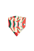 Hypet Fashion-Watermelon Bandana-Köpek-1-milagron.live