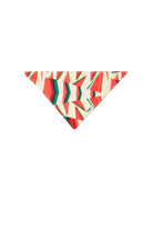 Hypet Fashion-Watermelon Bandana-Köpek-2-milagron.live