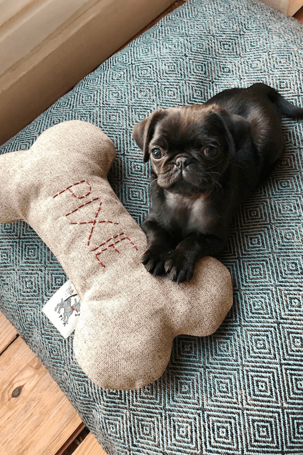 St. Pia-Bone Köpek Yastığı - Nutmeg - Kişiselleştirilebilir-Köpek-1-milagron.live